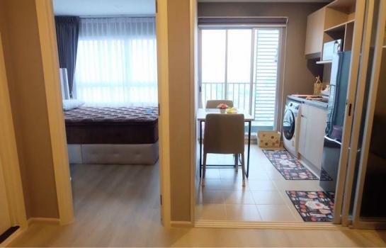 �ҧ� �� M Property