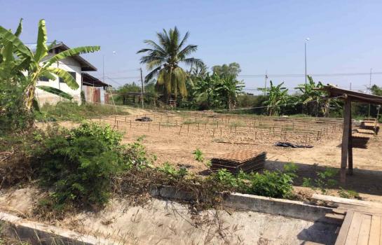 ˹ͧ��� �� rattana27