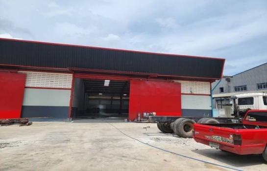 ��Ը� �蹨Թ��