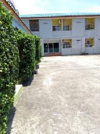 ���;�����鹷� �Ҥһ�С�Ȣ�� 95,000,000 �ҷ