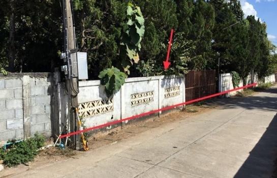 ��¾���� �� panaya.opalopal