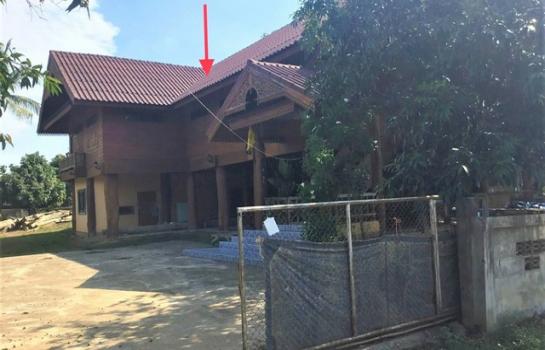 ��ҹ �� �����