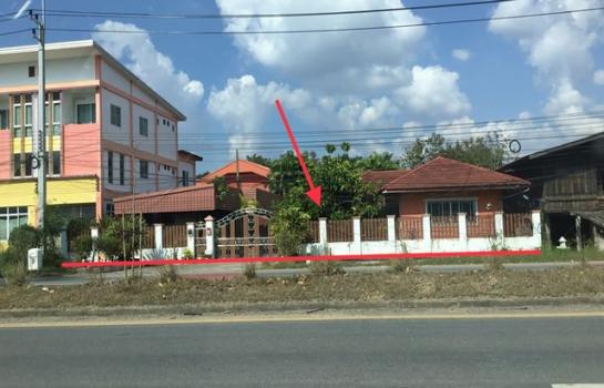 ��¾���� �� panaya.opalopal