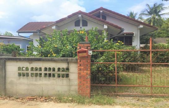 ��¾���� �� panaya.opalopal