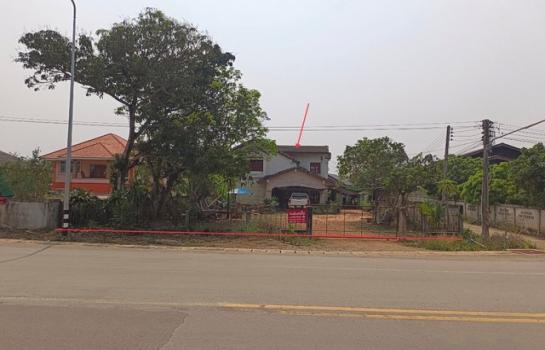 ��¾���� �� panaya.opalopal