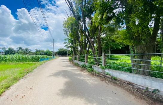 ���Թ���ᵧ �� Sawasdee