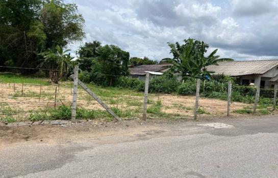 ที่ดิน lotus ที่ดิน lotus