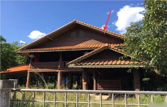 ��¾���� �� panaya.opalopal