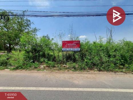 ��û�� �� The Best Property Agent