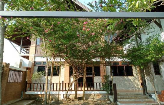 ��ҹ���ͧ �� �Ң�ѭ �Ź�����