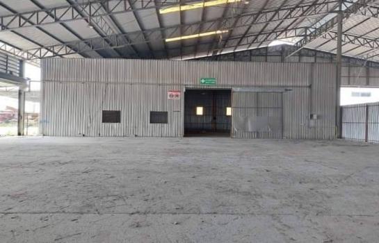 �ç�ҹ 9 ���