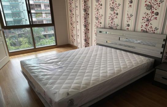 ���ͧ �� M Property