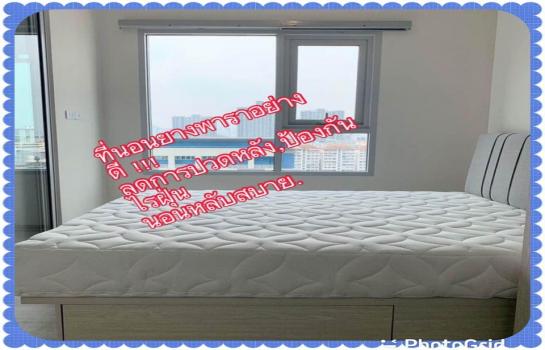 �ҧ�л� �� M Property