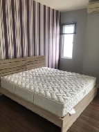 ������ ��ǹ����