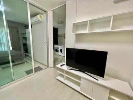 �ҧ�л� �� M Property