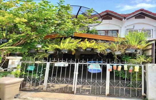 �ҧࢹ �� rattana27