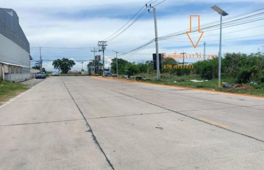 �ҧ�� �� kongpl