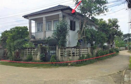 ����� �� panaya.opalopal