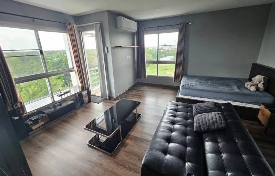 �ѹ����� �� ��