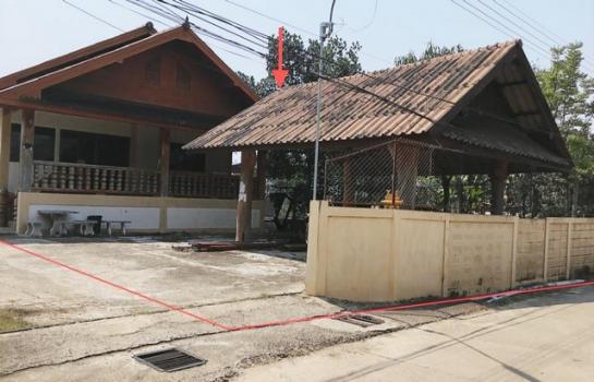 ��¾���� �� panaya.opalopal