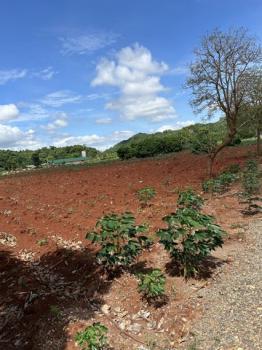 �ҡ��ͧ �� Noname2023