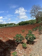 ��·��Թ �Ҥһ�С�Ȣ�� 8,785,000 �ҷ