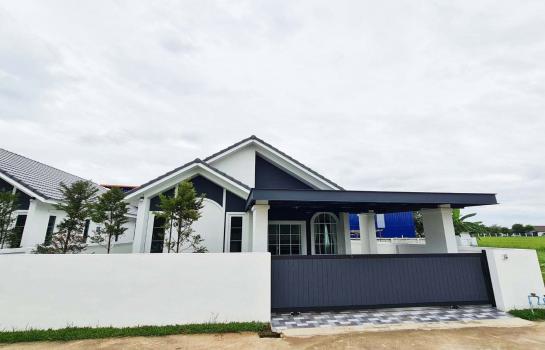 ��ҹ�ѹ��ҵͧ ��§����