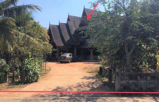 ��¾���� �� panaya.opalopal