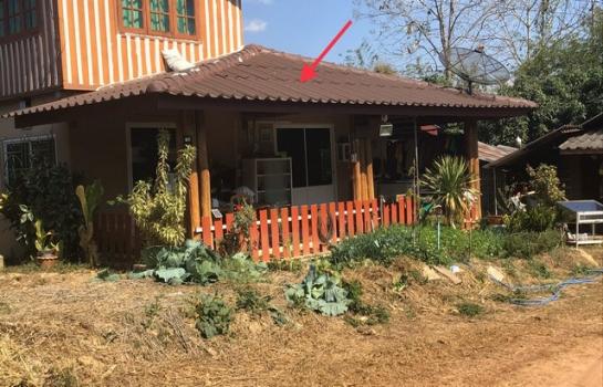 ��¾���� �� panaya.opalopal