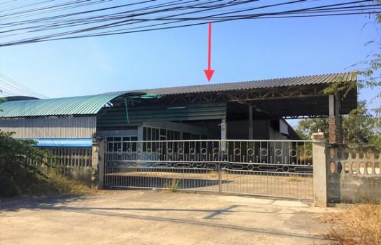 ����� �� panaya.opalopal