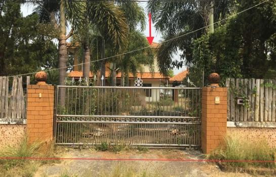 ��¾���� �� panaya.opalopal