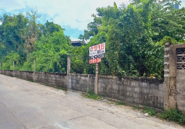 ��·��Թ �ҧ�л� ��ا෾