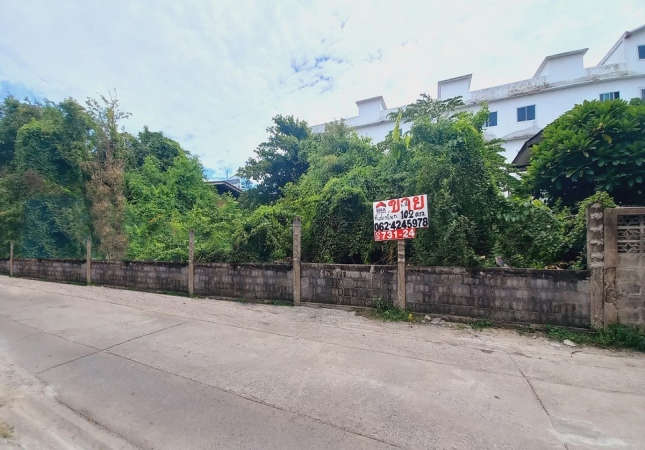 ��·��Թ �ҧ�л� ��ا෾