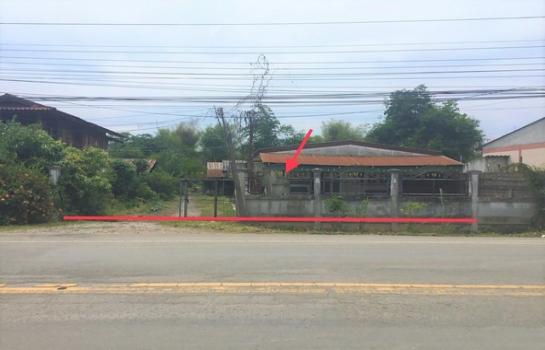 ��¾���� �� panaya.opalopal