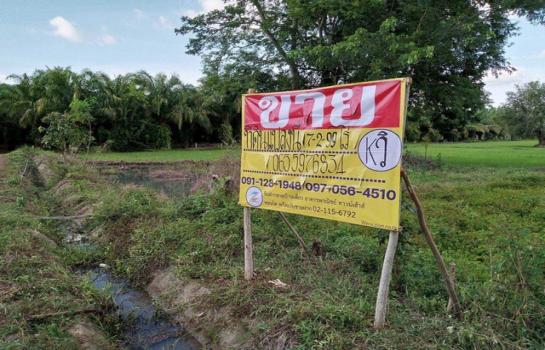 ������ �� zionasset1