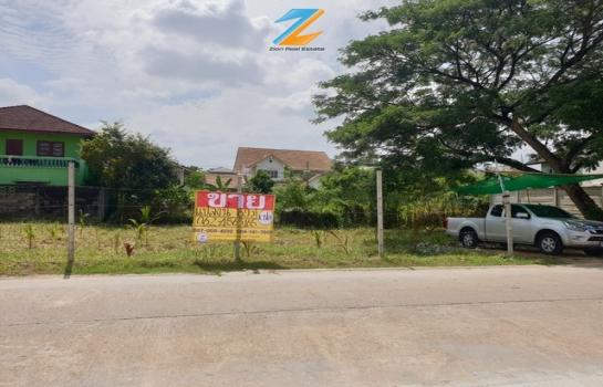 ���觪ѹ �� zionasset1