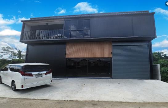 ���١�� �� Kong property