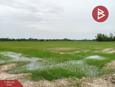 �ط�¸ҹ� �� The Best Property Agent