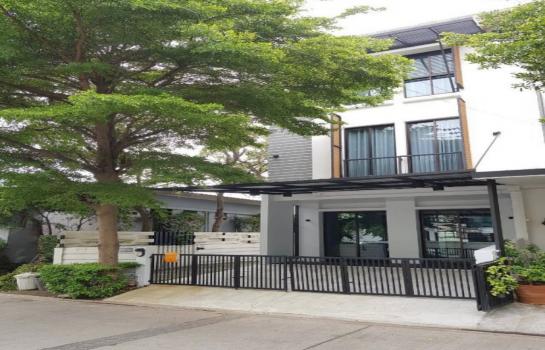 �ǹ��ǧ �� AssetD4U