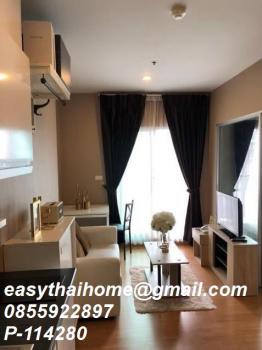 �͹ⴾ�������� �ҧ�