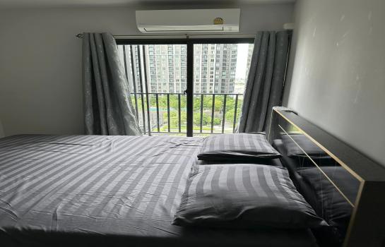 ������ԭ �� ��