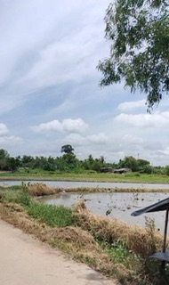 ที่ดิน pattaya ที่ดิน pattaya