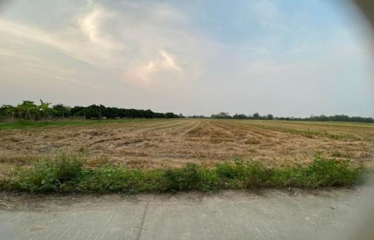 �ѹ��ᾧ �� onanong khumaphao