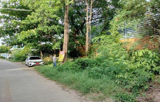 ������ �� zionasset1