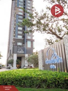 ����Թ �� The Best Property Agent