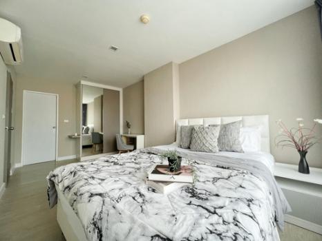 ���¢�ҧ �� M Property