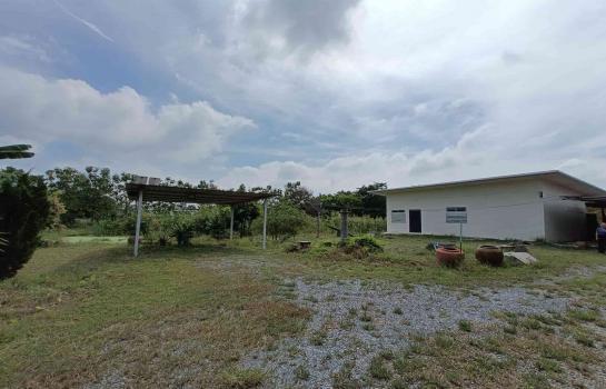 �����ҹ� �� rattana27