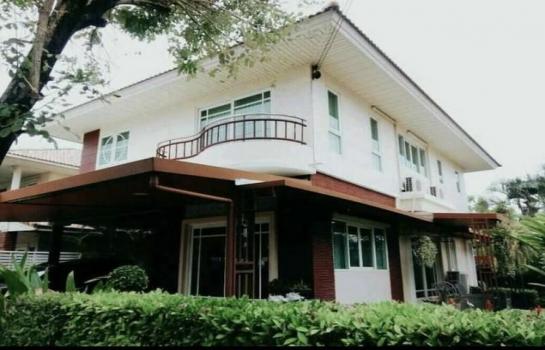 ��»����� �� coasset22