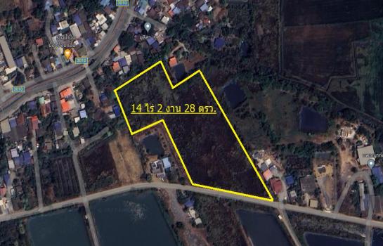 �ѧ���� �� Patkorn