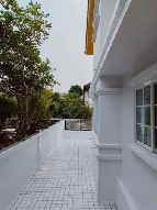 ��� ��ҹ����� 50 ���ҧ��